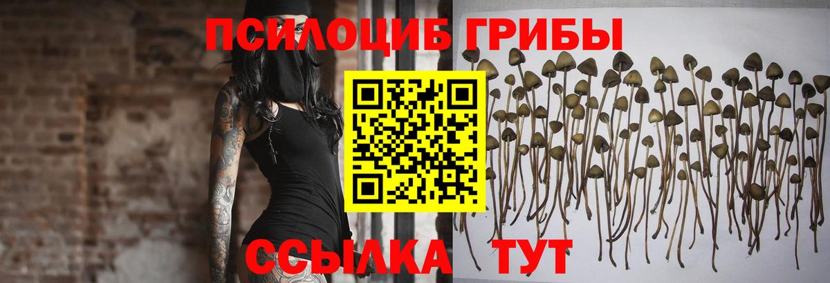 Галлюциногенные грибы ЛСД Троицк