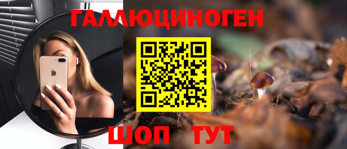 Галлюциногенные грибы прущие грибы  Вход с VPN  Троицк 